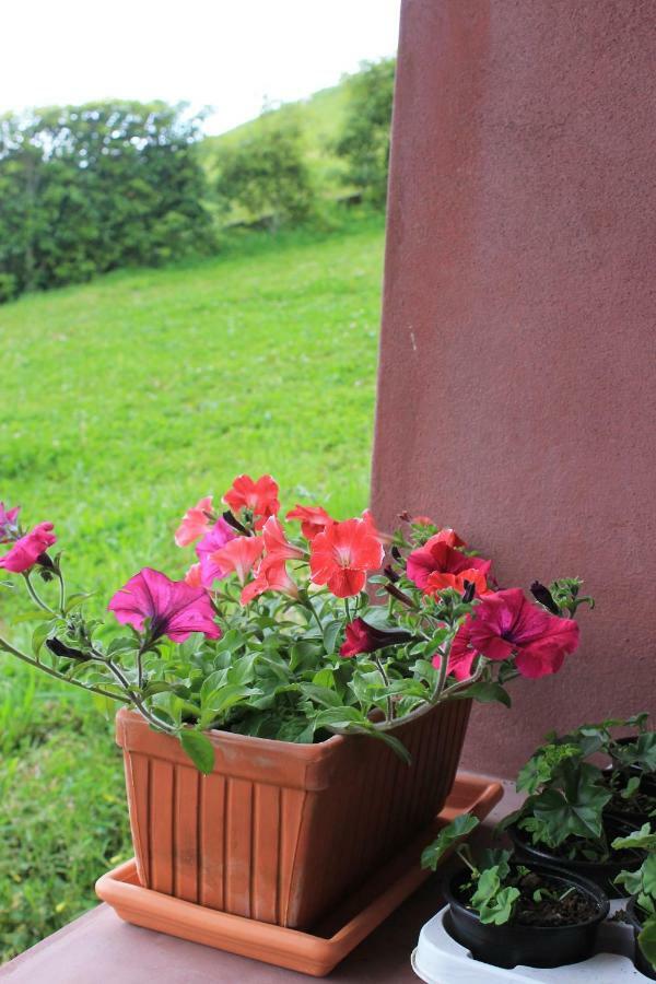 Quinta Da Pavoa - Cottage House Vila Franca do Campo Exteriör bild