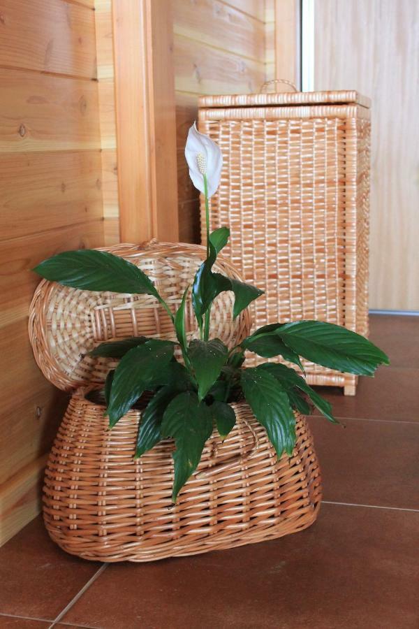 Quinta Da Pavoa - Cottage House Vila Franca do Campo Exteriör bild